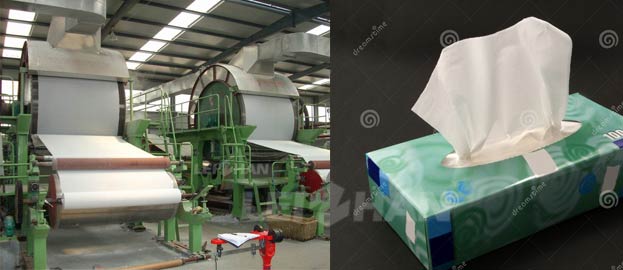 toilet and facial tissue paper manufacturing plant