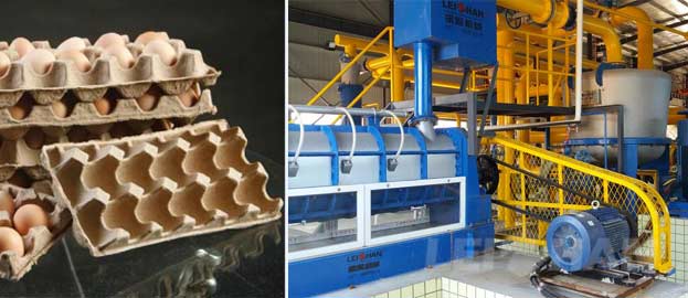 Egg Tray Production Line Machine Delivery 