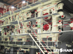5200mm Double Wire Corrugated Paper Machine