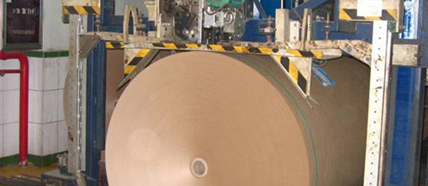 Paper Roll Conveying & Packaging System